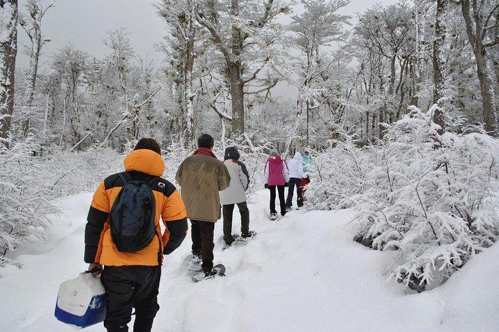 Ushuaia Night Adventure: Snowboeing e Snowmobiling