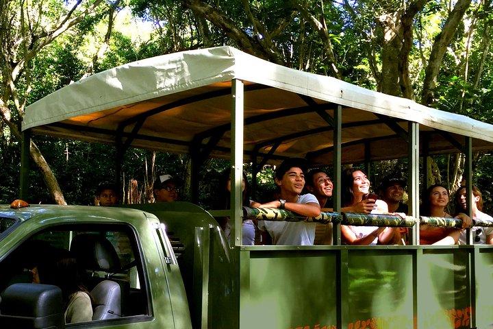 Kualoa Ranch: Expedition Tour da Selva