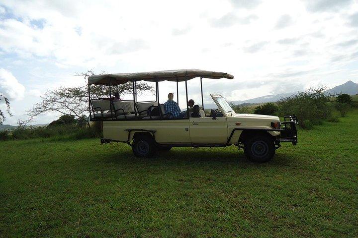 Across Africa Safari
