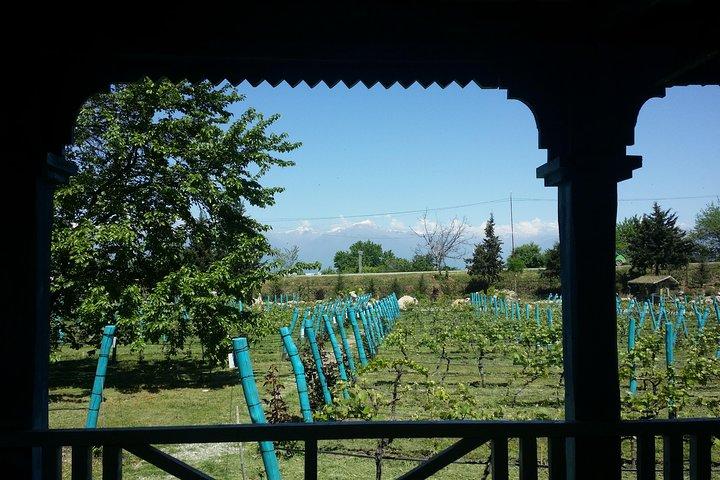 Private Weintour nach Kachetien von Tiflis