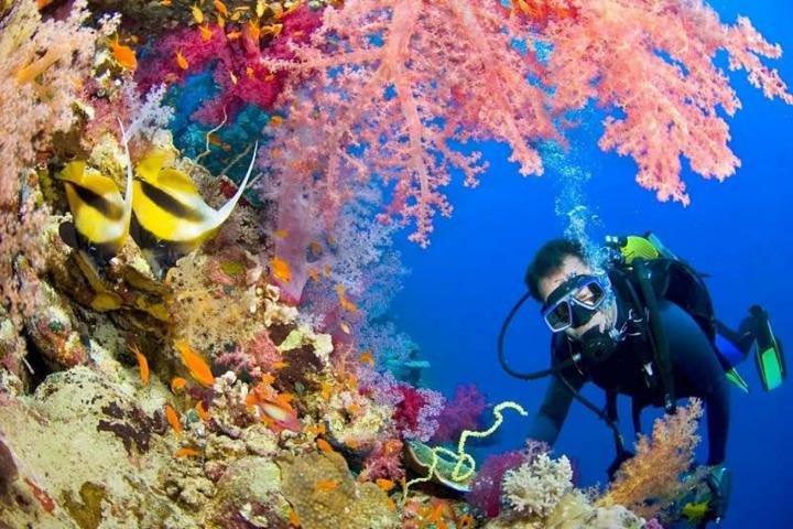 Diving Tour a Hurghada