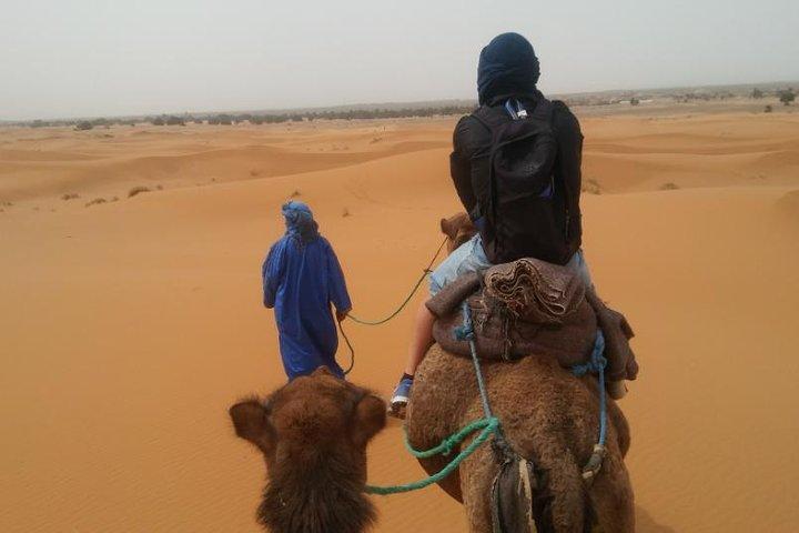 4 Days shared Desert Tour From Marrakech To Zagora and Merzouga