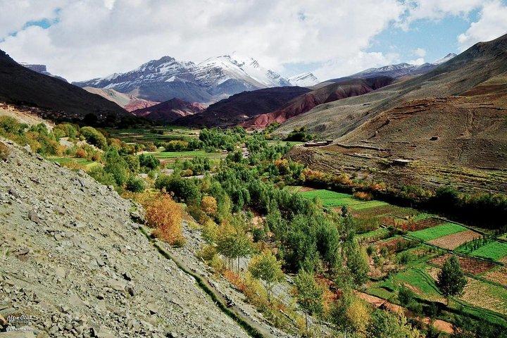 Private Day Trip from Marrakech to the Atlas Mountains