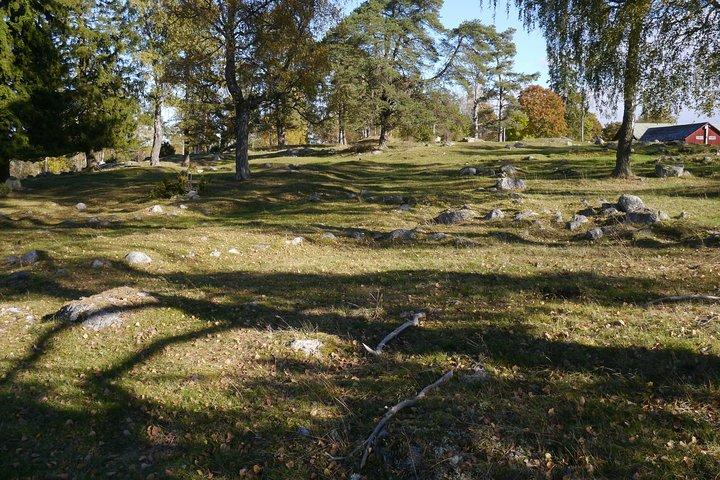 プライベートツアー:ストックホルムの世界遺産候補者Markim-Orkestaへのスウェーデン史の日旅行