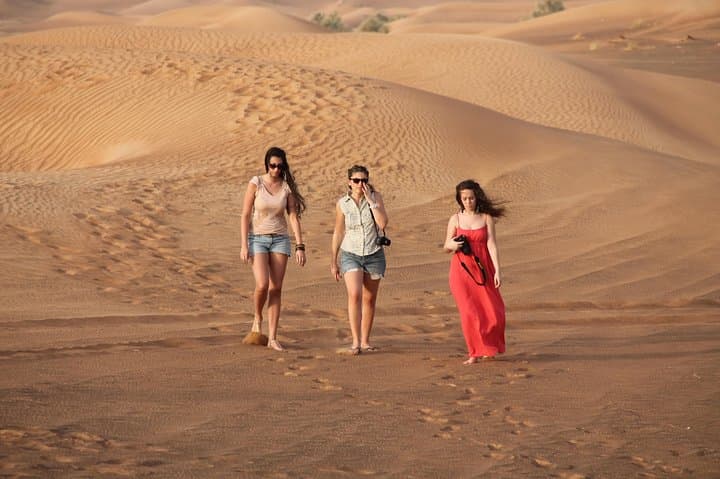Dubai Red Dunes Desert Safari: BBQ, Premium Camp & 5 Live Shows