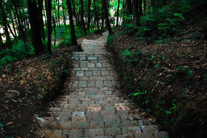 Nagarjun und Jamacho Gumba Tageswanderung von Kathmandu