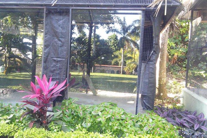 Tour Privado De Ocho Rios às Cataratas Konoko e ao Jardim e às Compras
