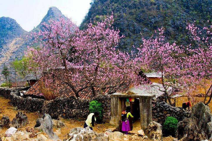 Paquete Tour de 4 días Pase Ha Giang Ma Pi Leng y mercado Meo Vac
