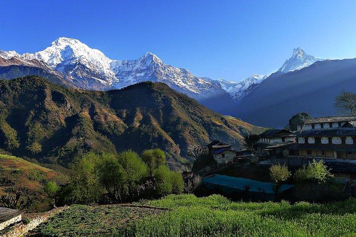 Ghandruk Tour Package
