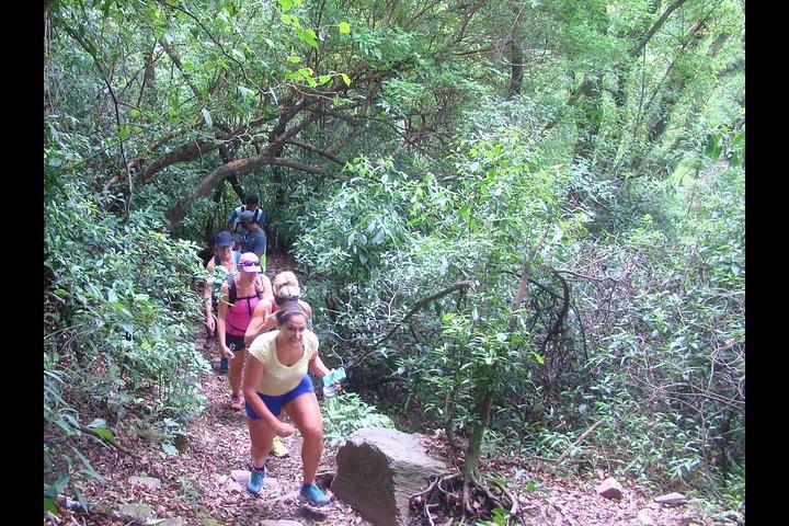 Yungas en El Rey National Park 4x4 Full Day Tour vanuit Salta