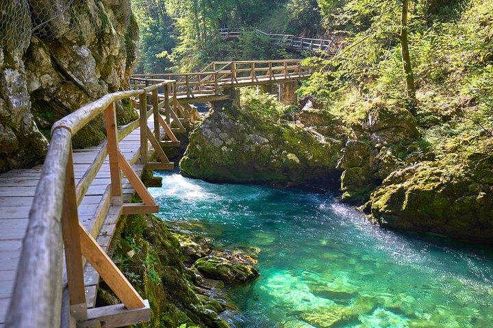 Tour privato di Bohinj e Vogel da Bled