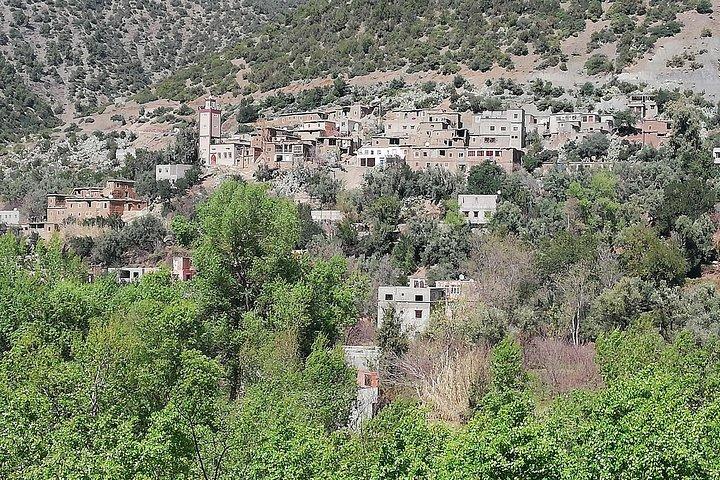Tagesausflug ins Ourika-Tal und zum Hohen Atlas von Marrakesch aus: Geteilt