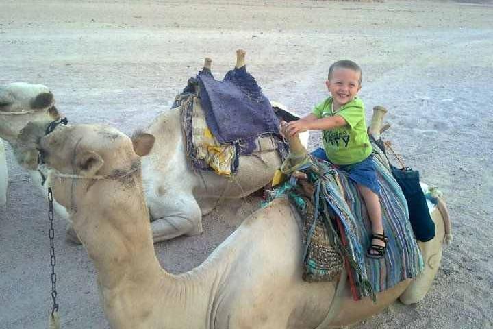 cavalcata di cammelli e osservazione delle stelle a Sharm