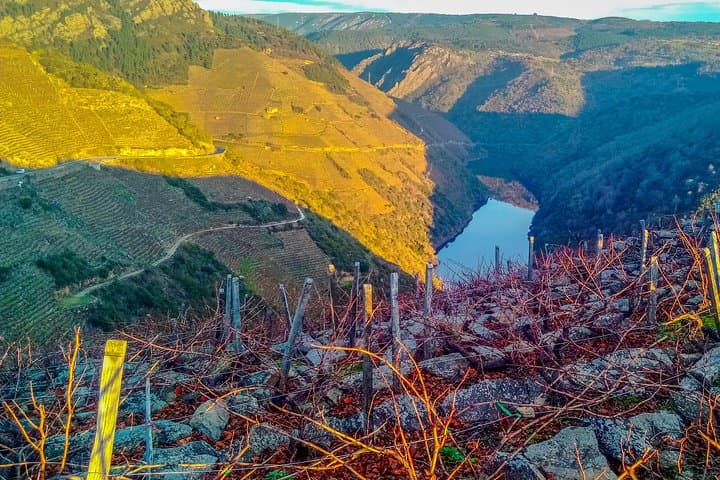 Ribeira Sacra, "Heroic Wines" Private Tour from Santiago/Vigo