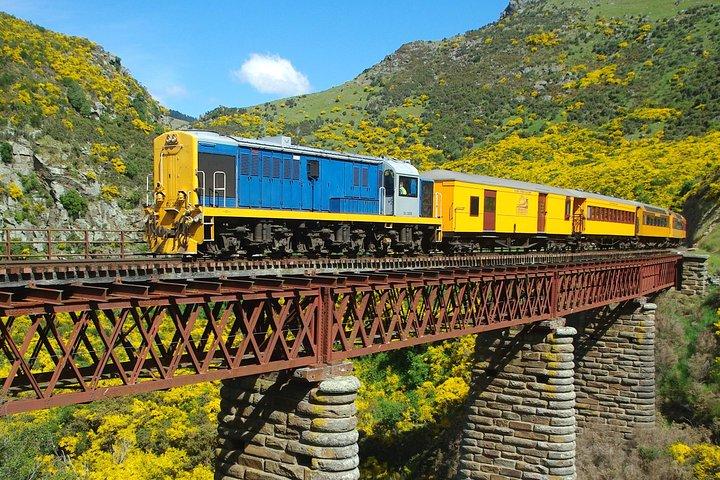 Dunedin Shore Excursion : Taieri Gorge Railway & City Sightseeing