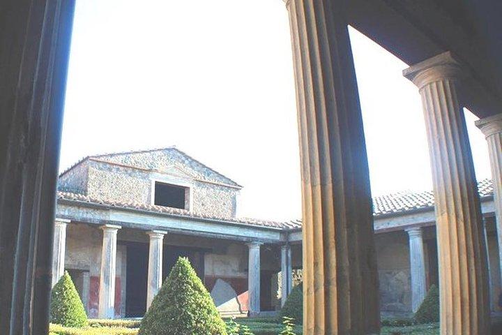 Pompei ed Ercolano Viaggio da Roma con Biglietti Pick Up & Skip-the-Line