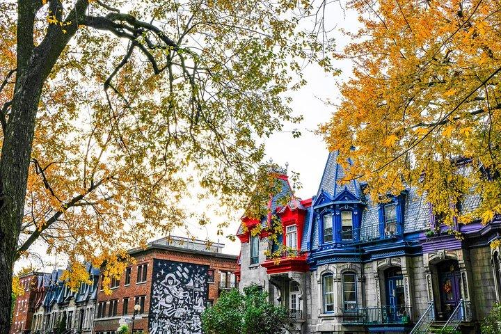 MTL Detours によるモントリオールのプラトー モンロイヤルとマイルエンド ツアー
