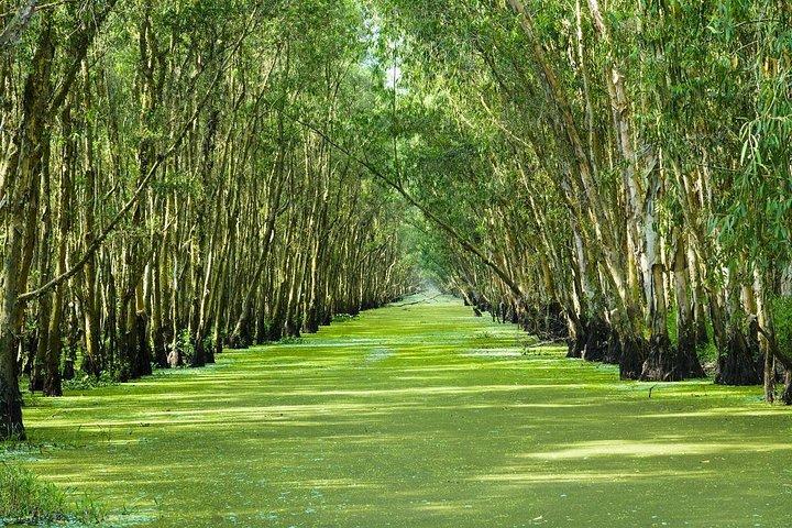 Excursão Privativa de Três Dias ao Delta do Mekong - Incluindo o Santuário de Pássaros de Tra Su