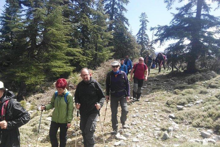 Heldagsudflugt til Lakraa-bjerget | Højest i Talassemtane Park (2159m)