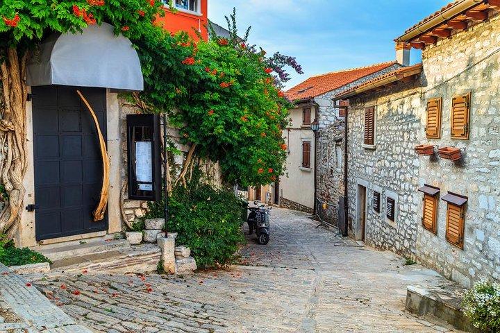 Tour privato della Magia d'Istra da Lubiana