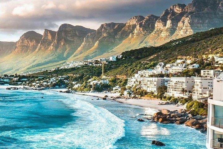 Cape Town: Visite privée de la péninsule du Cap - Journée complète