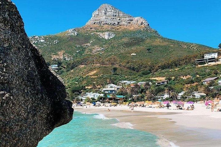 Cape Town: Visite privée de la péninsule du Cap - Journée complète
