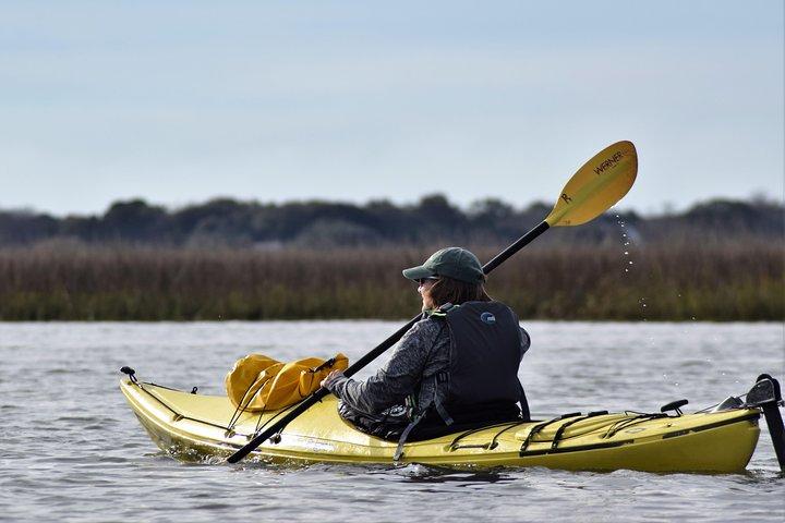 2 - Visite guidée d'une heure en kayak Eco à Charleston