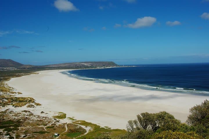 Cape Town: Cape Peninsula Half Day Private Tour