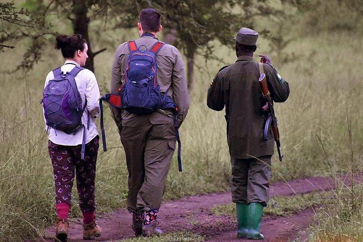 Gorilas de Uganda e safári de caça - 10 dias
