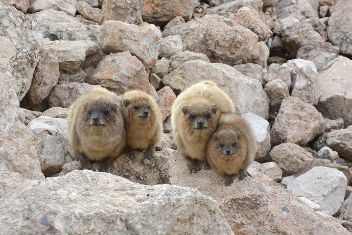 Die judäische Wüste, das Tote Meer und Masada