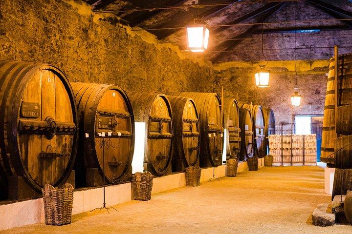 Proef de Douro - Vintage ervaring