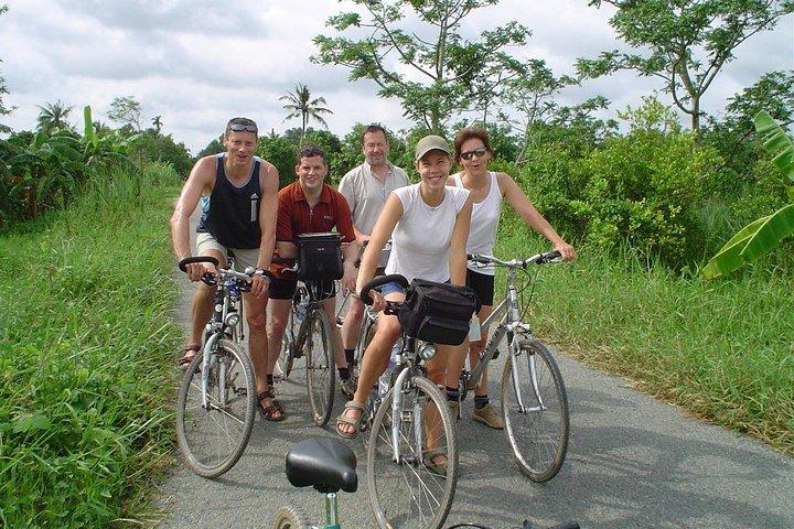 Excursão privada ao Delta do Mekong 1 dia