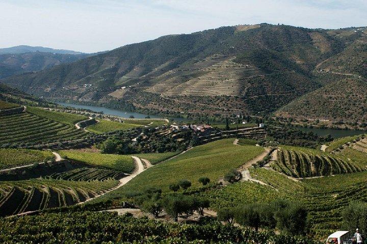 Proef de Douro - Vintage ervaring