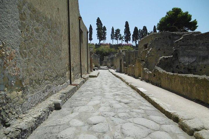 Pompeii, Herculaneum and Sorrento Private Day Tour from Rome