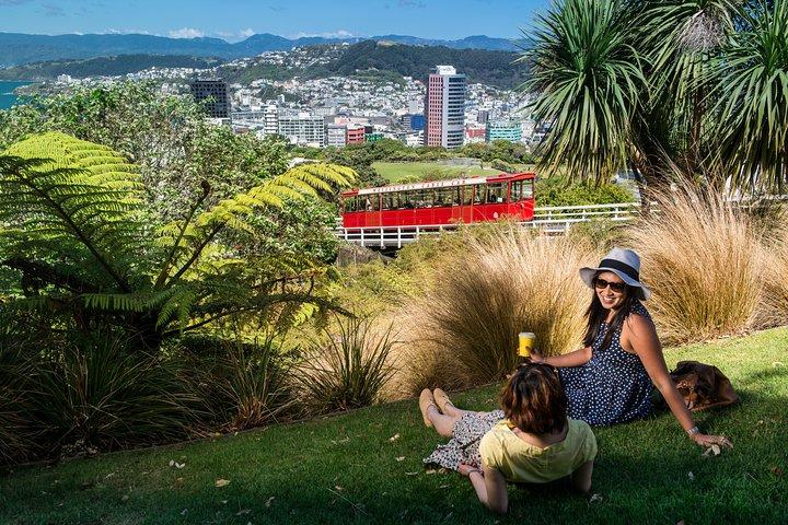 Visite des points forts de Wellington City to Coast (avec déjeuner)