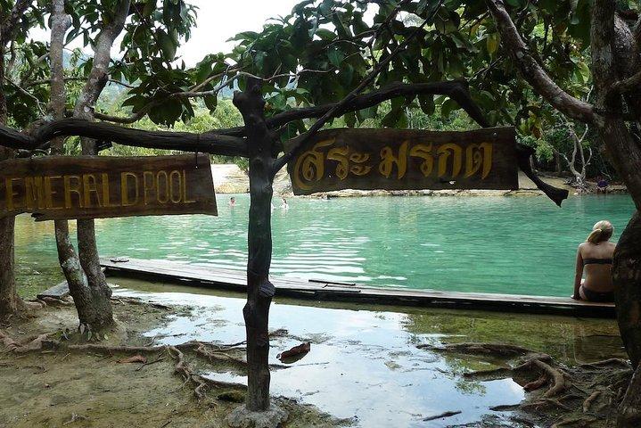Thailands letzter Tieflandregenwald – Eine versteckte Edelsteintour