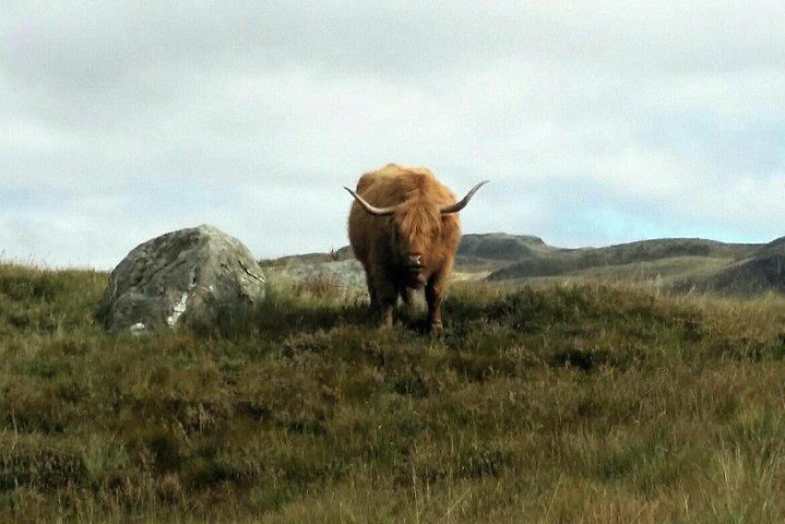 Scottish Highlands Freedom Bike & E-Bike Tour com transferências