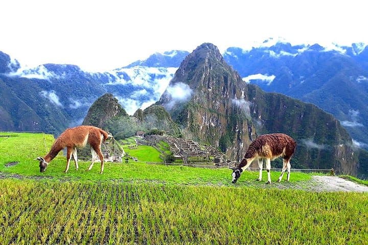 Small-Group Day Tour to Machu Picchu