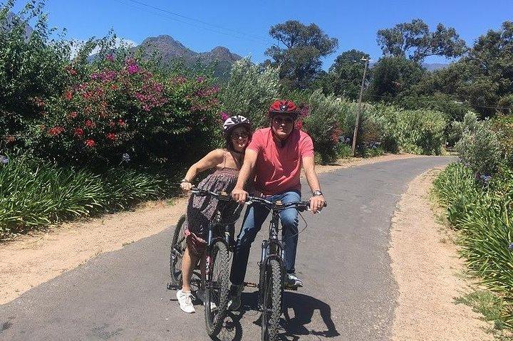 Ciclo di Franschhoek ed esperienza di degustazione 4 ore (condiviso)