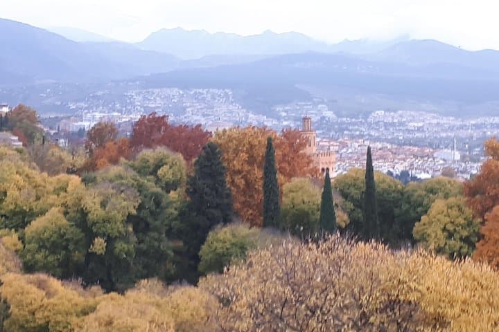 Alhambra Tour :Generalife Palace,Gardens and towers.Skiptheline