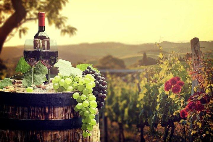 Temecula Weinland Tour von San Diego