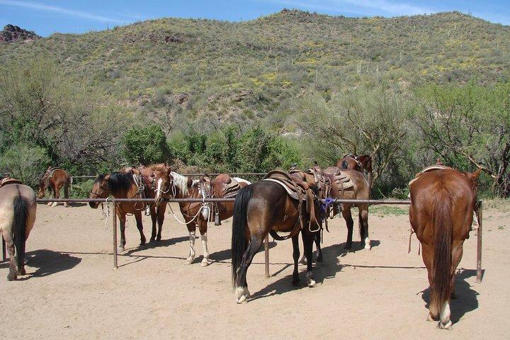 En dag i Old West Adventure, inklusive ridning och cowboy lunch