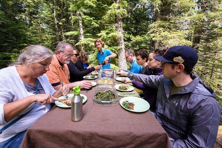 Mount St. Helens från Portland : All-inclusive rundtur i liten grupp