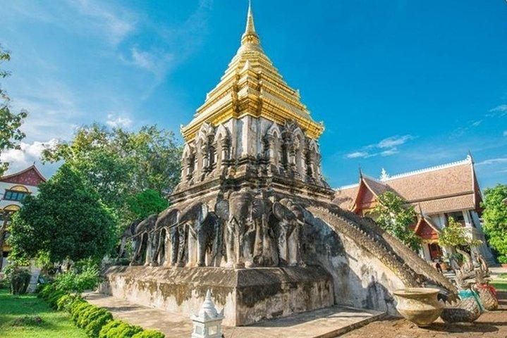 Privat tur: Chiang Mai by- og tempeltur i hele Thailand
