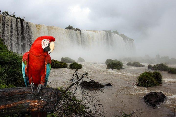 Cascate Iguazu lato brasiliano