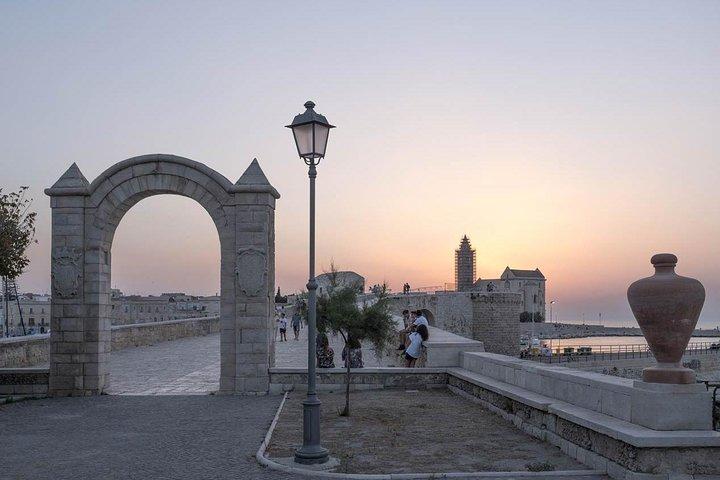 TRANI and Castel Del Monte UNESCO from your accomodation