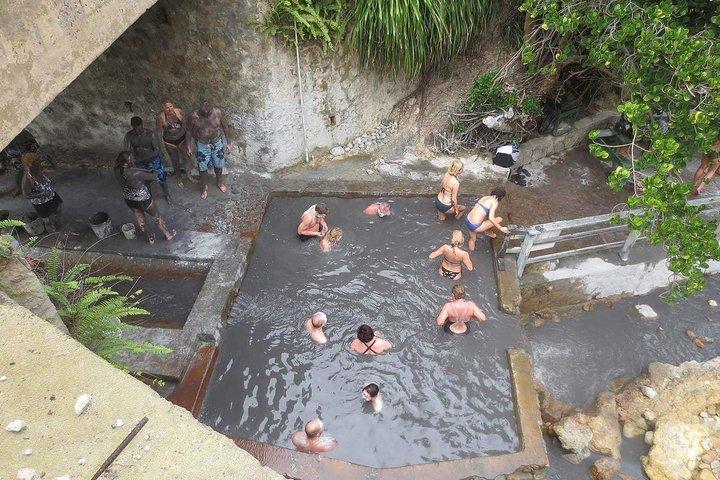 Tour vulcânico e jardins botânicos