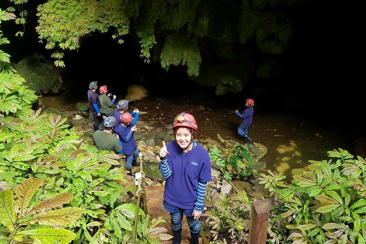 Tour privati nelle grotte di Waitomo Glowworm