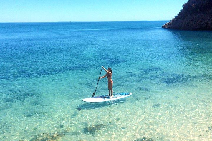 Stand Up Paddle en Marine Sanctuary