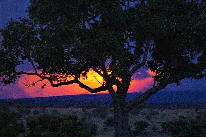 Five Days- Arusha-lake Manyara- Ngorngoro-serengeti (clásico)